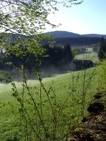 fruehling63 nach riedelswald im hintergrund die kaesplatte